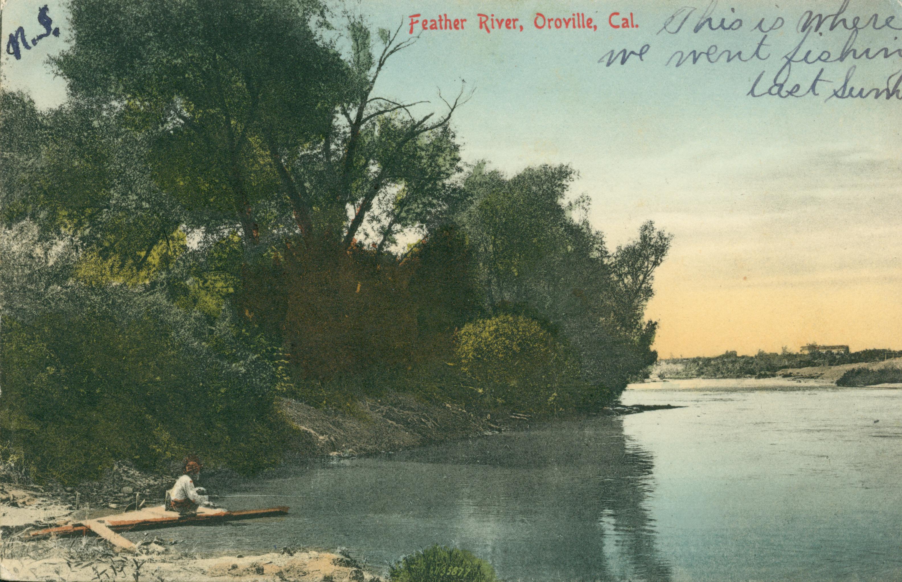 Shows a man fishing on a tree-lined river shore