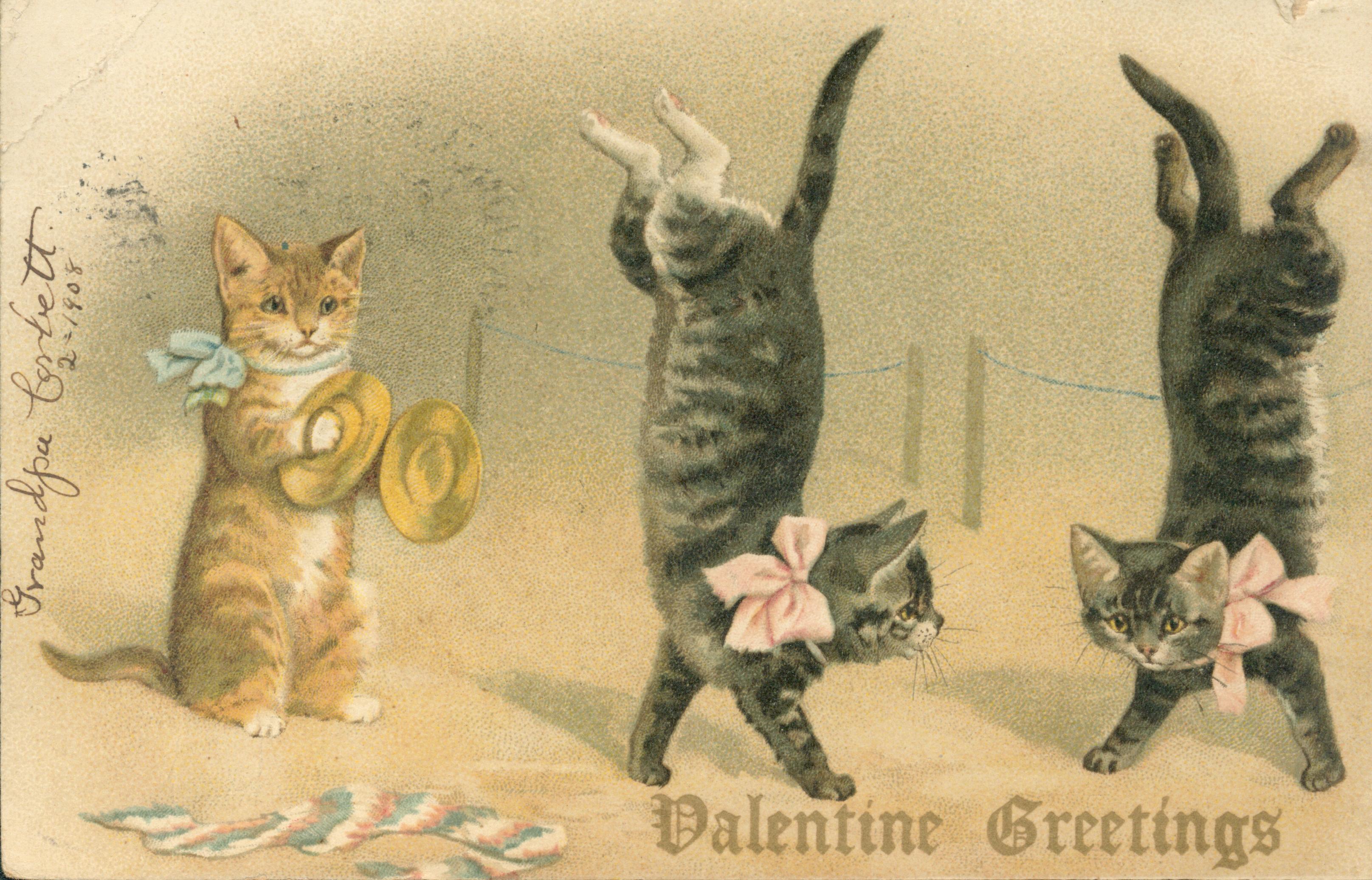 Shows a kitten playing the tambourines for two other kittens