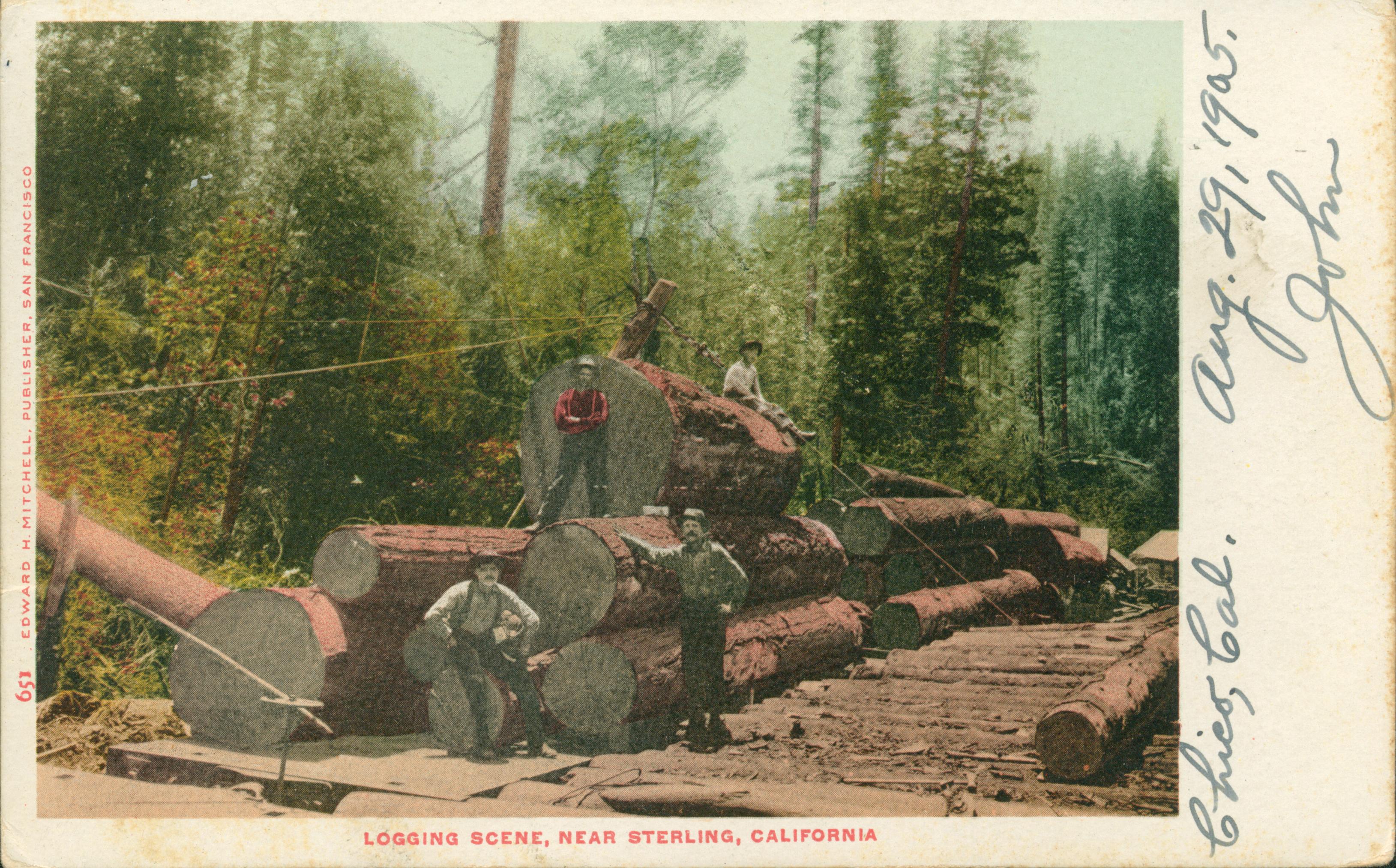 Shows several lumberjacks posed around logs