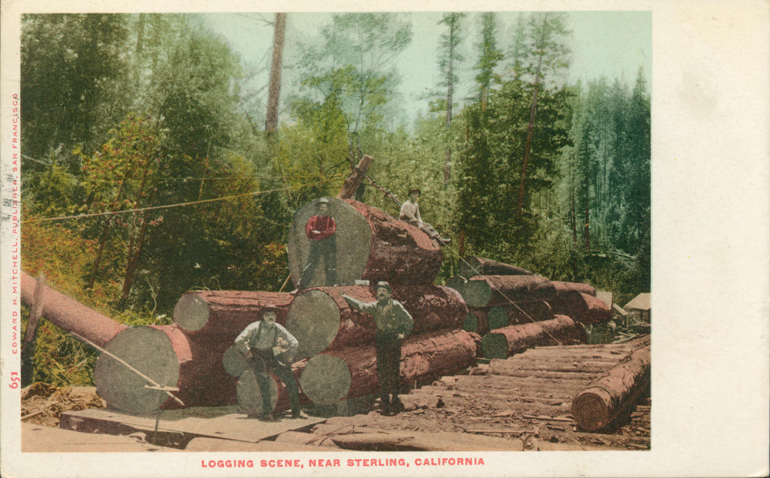 Shows several lumberjacks posed around logs