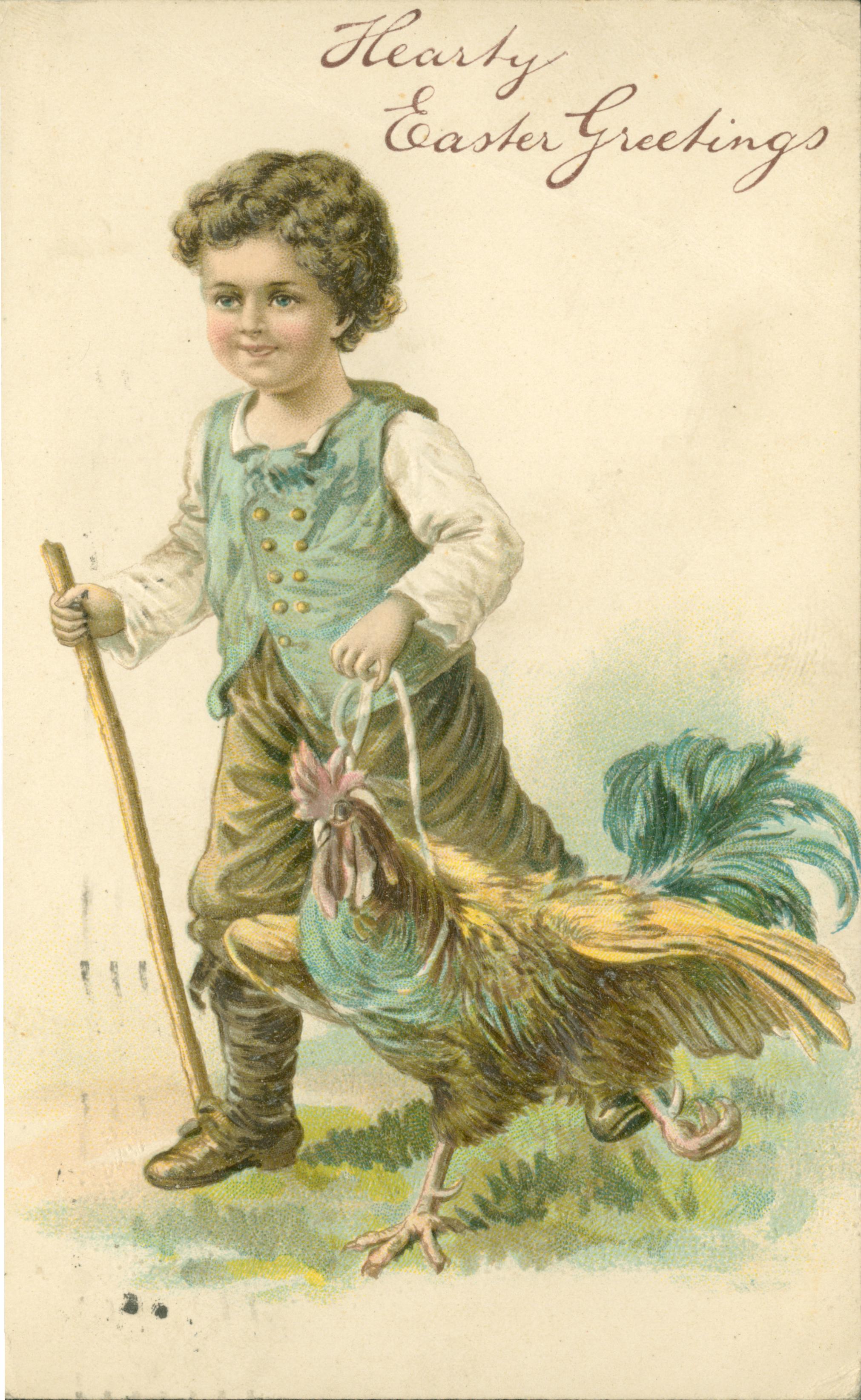 A little boy walking with a chicken on a leash.
