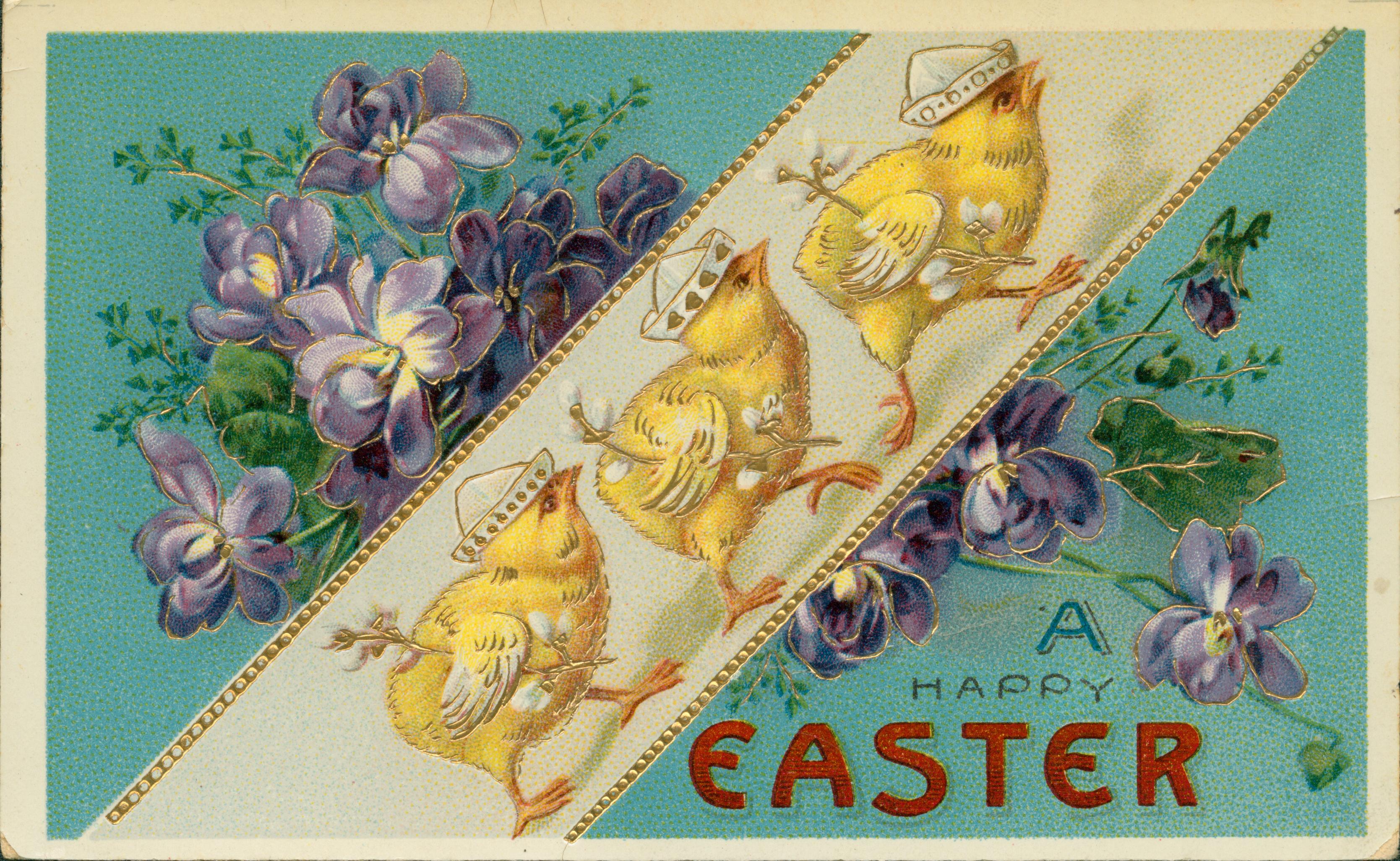 Three chicks in a row wearing hats with flowers on either side.