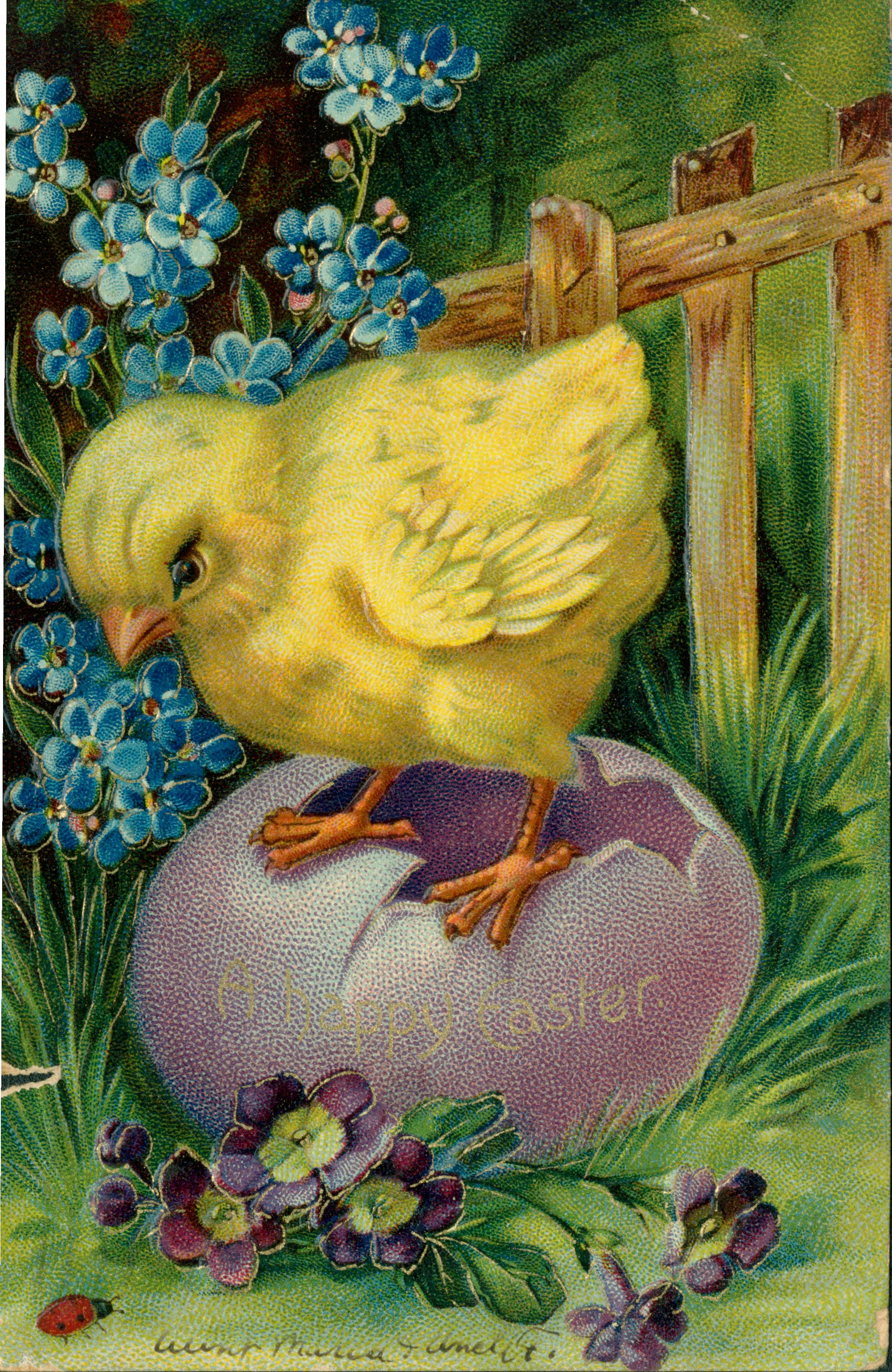A chick standing on a hatched egg surrounded by flowers.