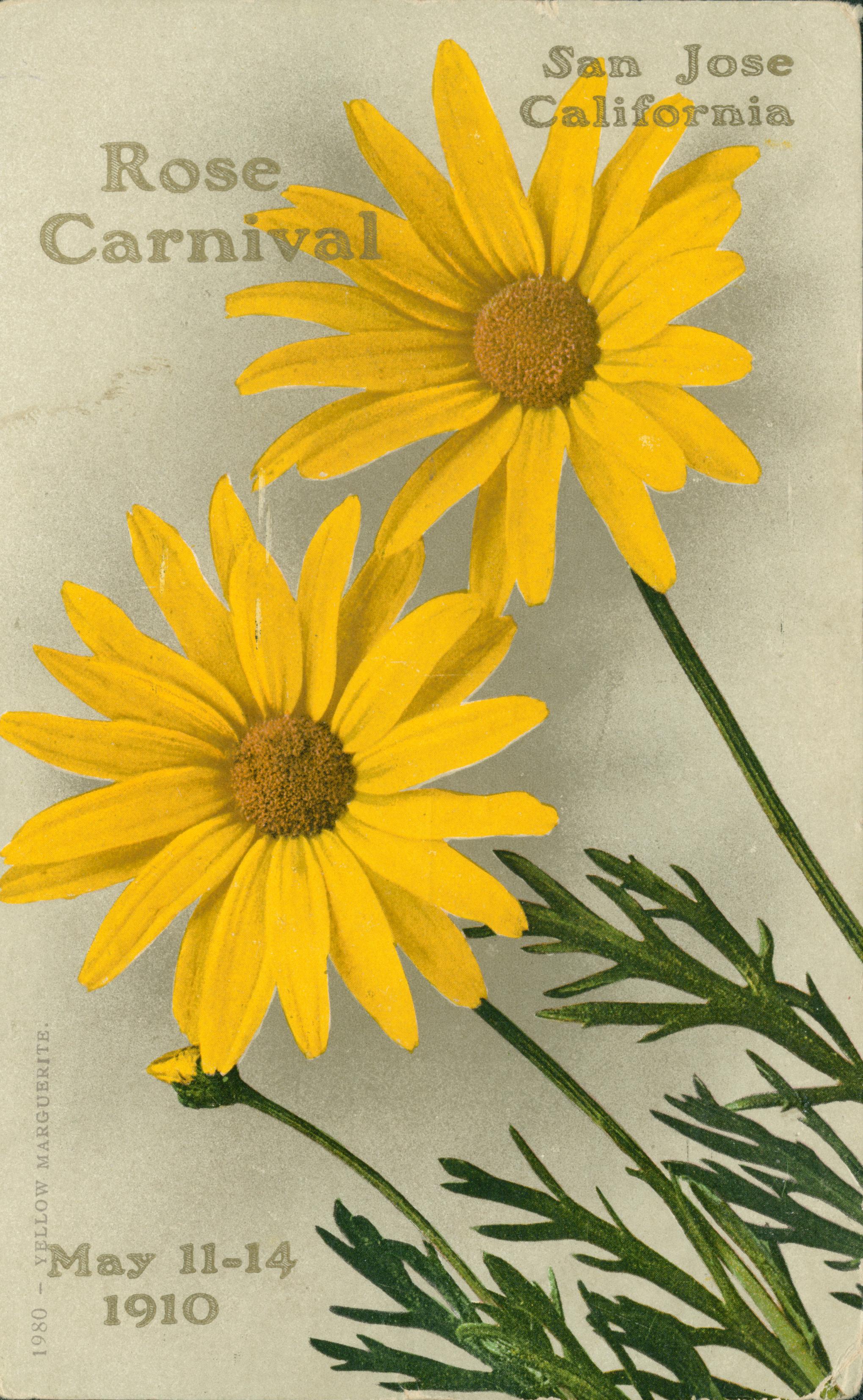 Yellow Daisies with green leaves and text with carnival details