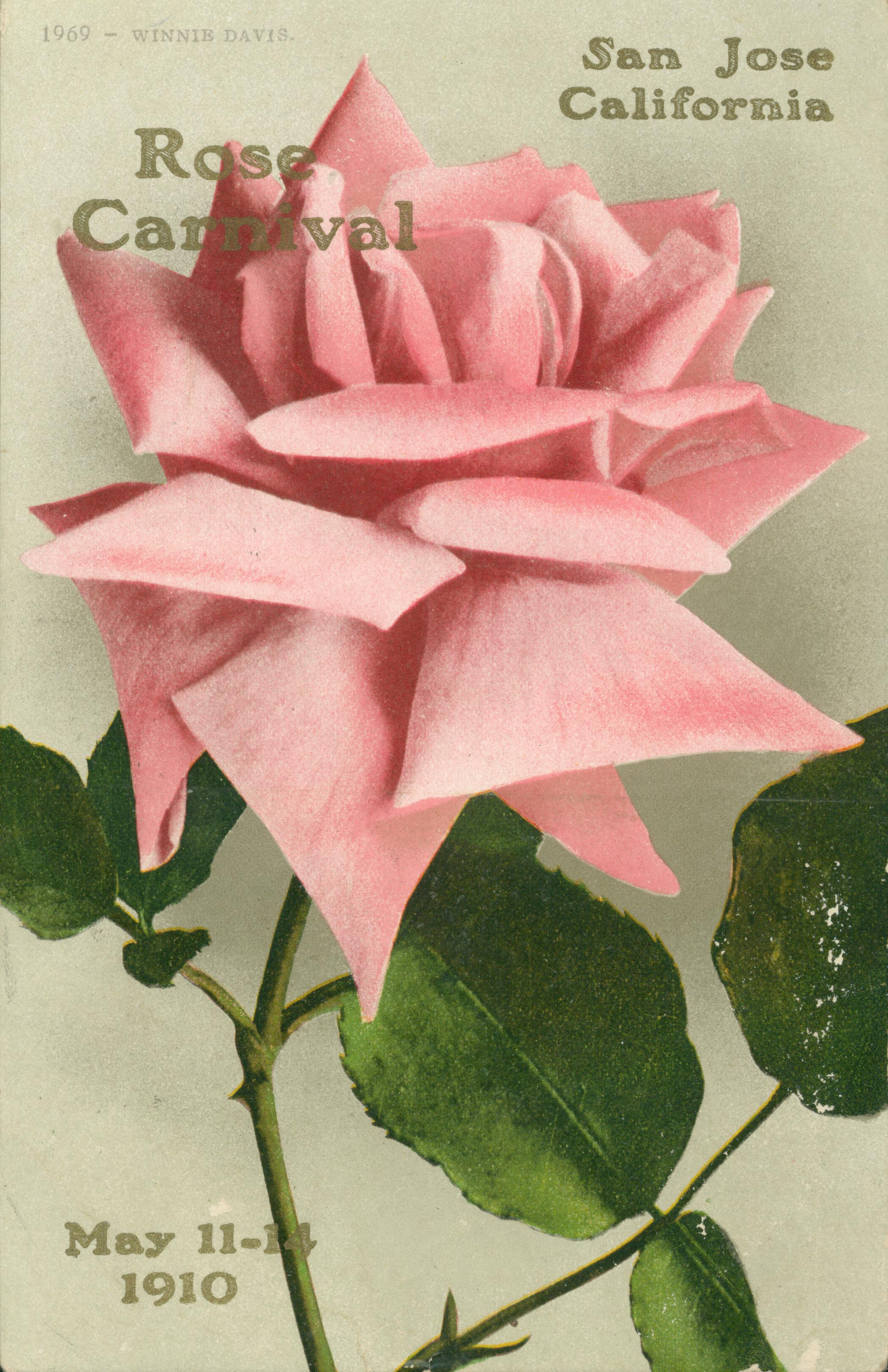 Pink rose with green leaves and text with carnival details