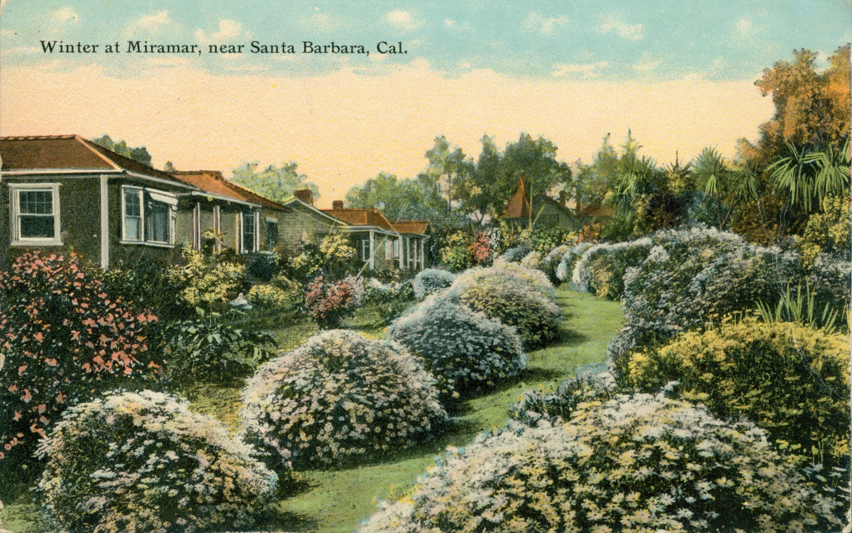 California bungalows surrounded by flowering shrubs and bushes and in the background, large trees
