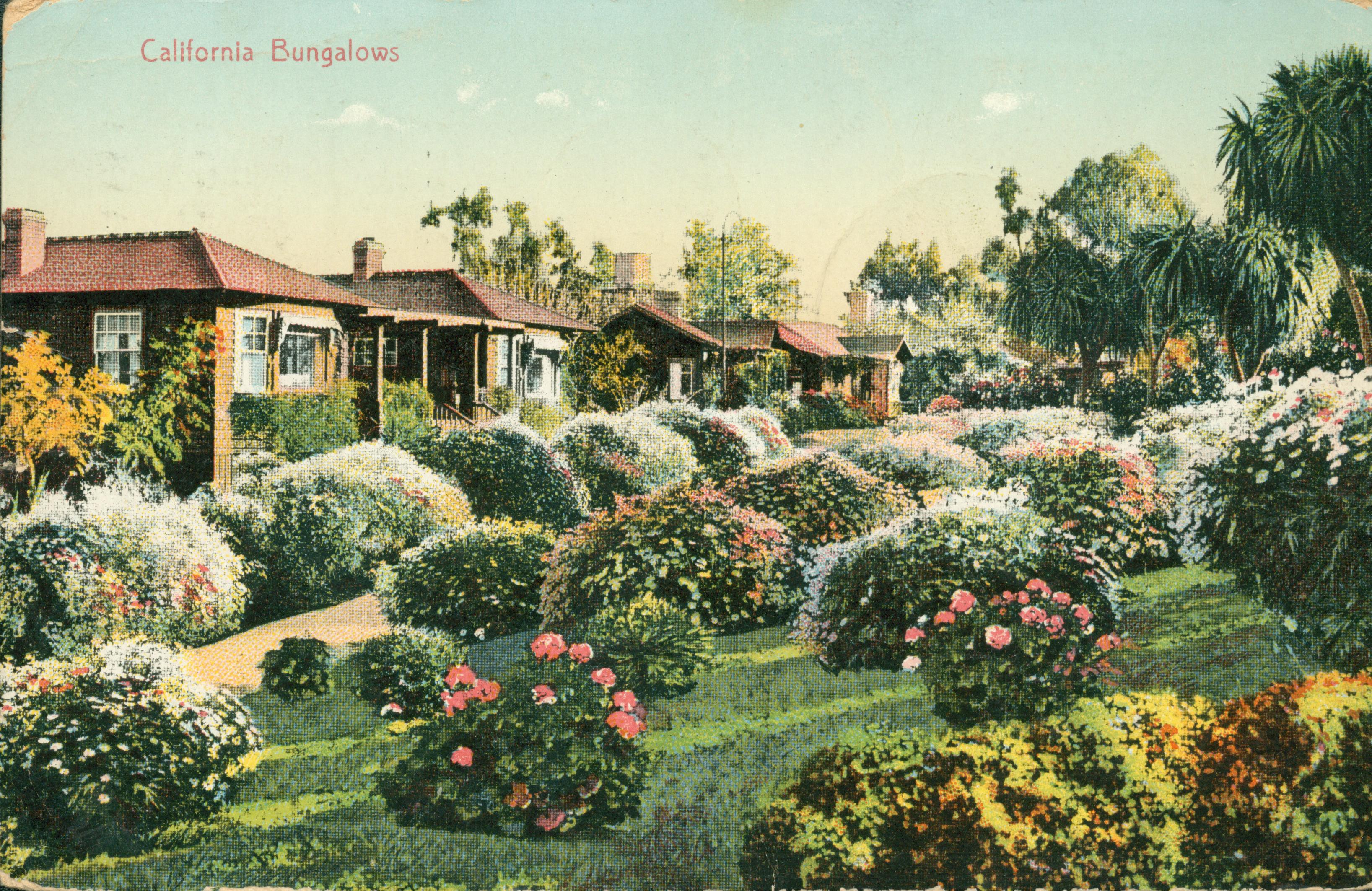 California bungalows surrounded by flowering shrubs and bushes and in the background, large trees