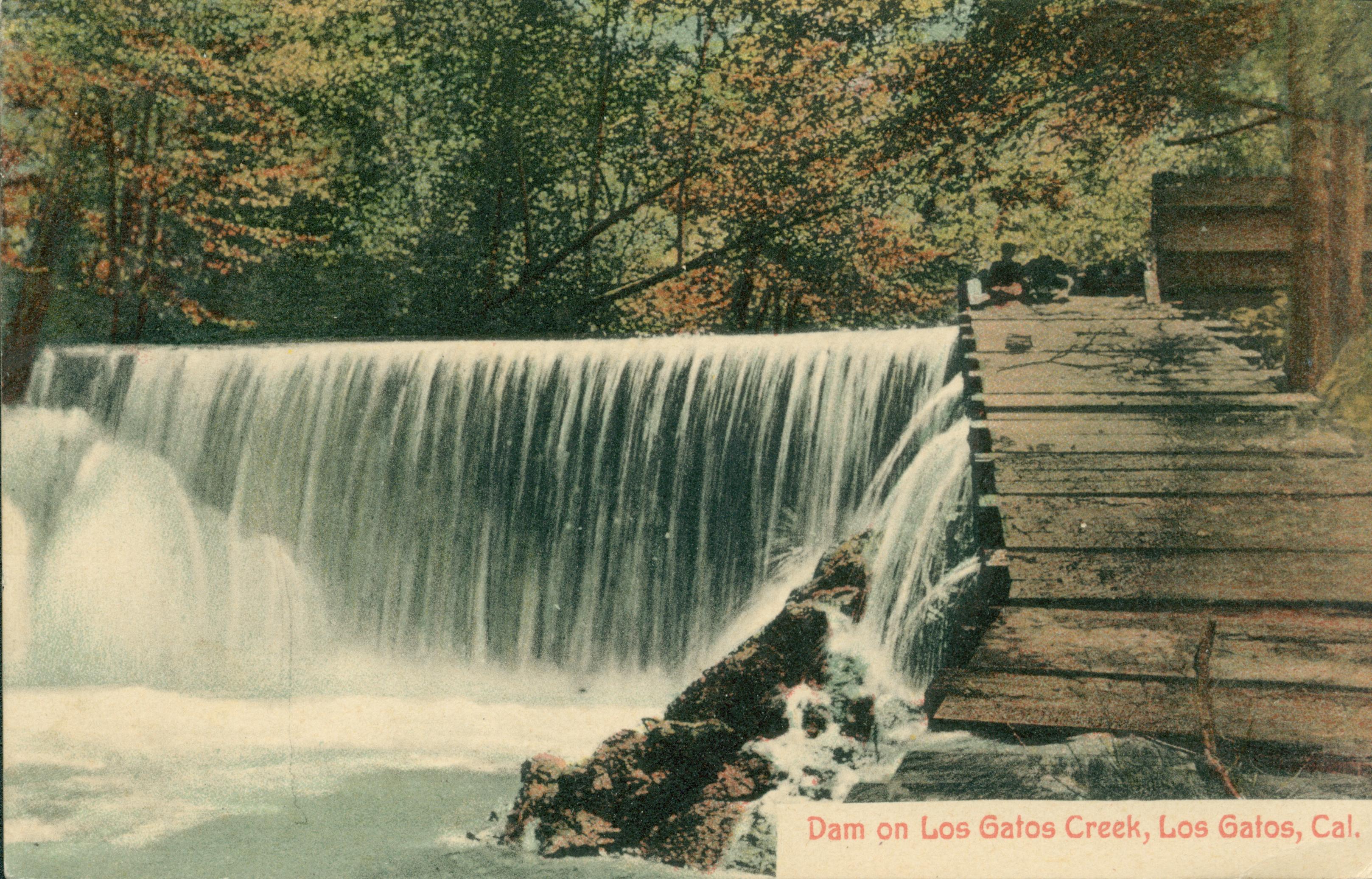 Water cascading over dam into creek, trees in background with small wooden bridge to the right of the creek
