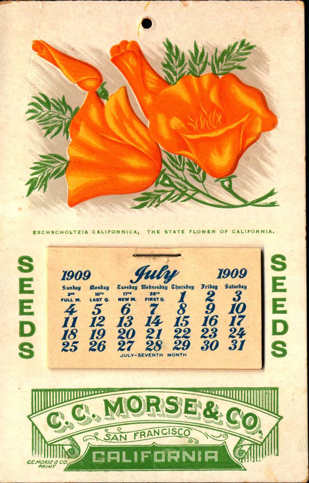Shows an image of 4 poppies above the calendar and seed company information