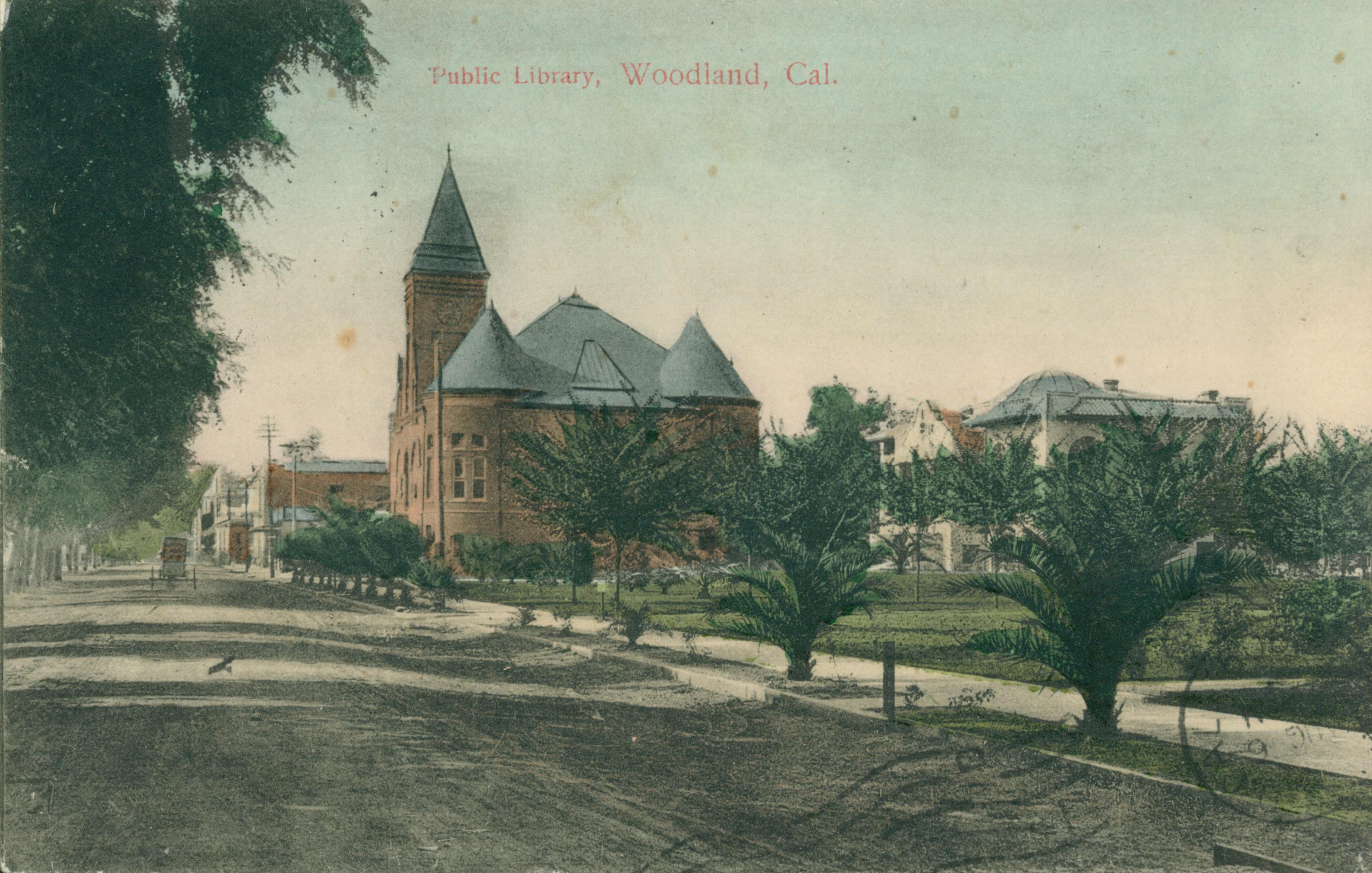 Shows the public library in Woodland facing a palm-lined street.