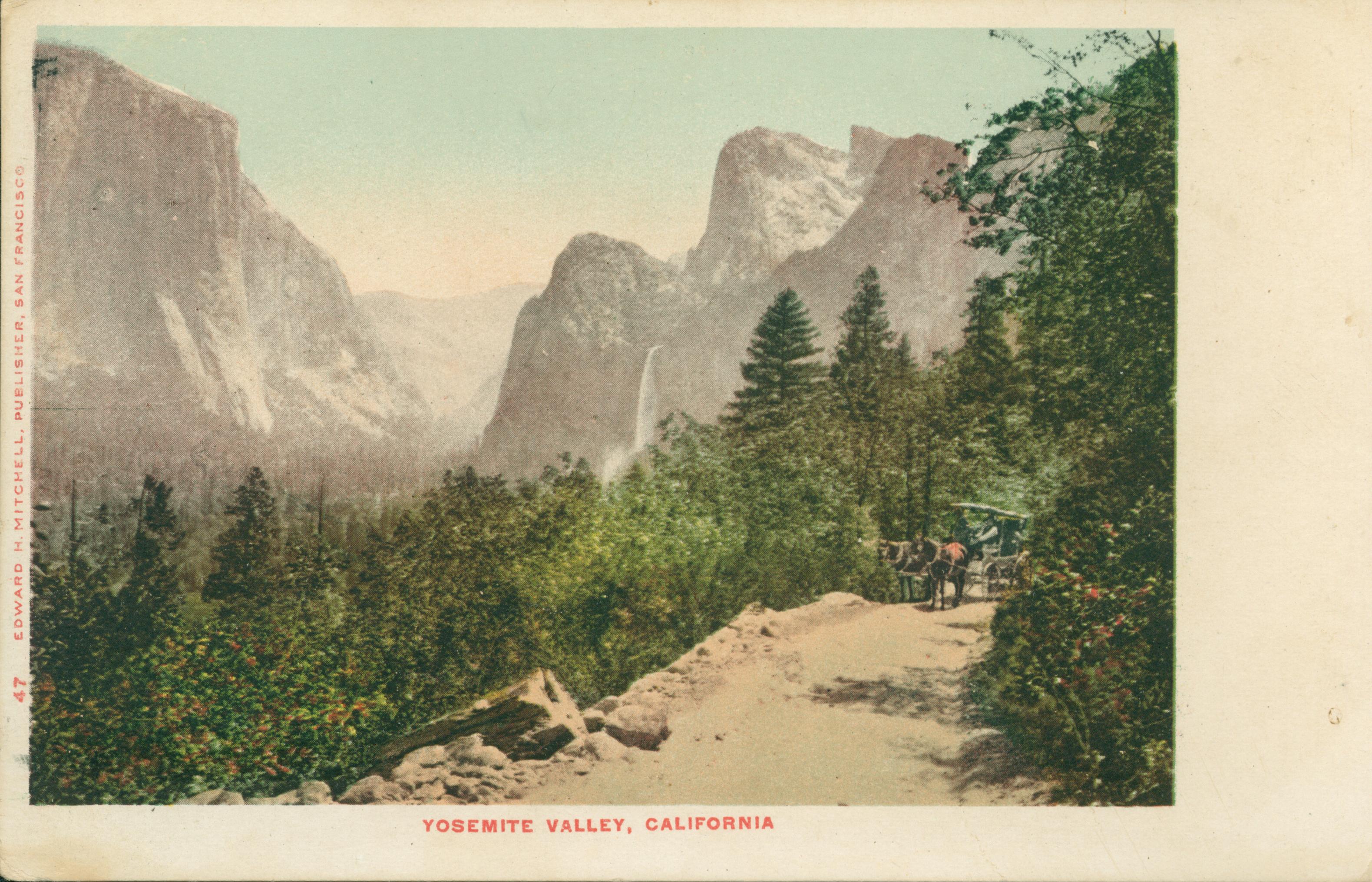 Shows a tree-lined trail overlooking the Yosemite Valley