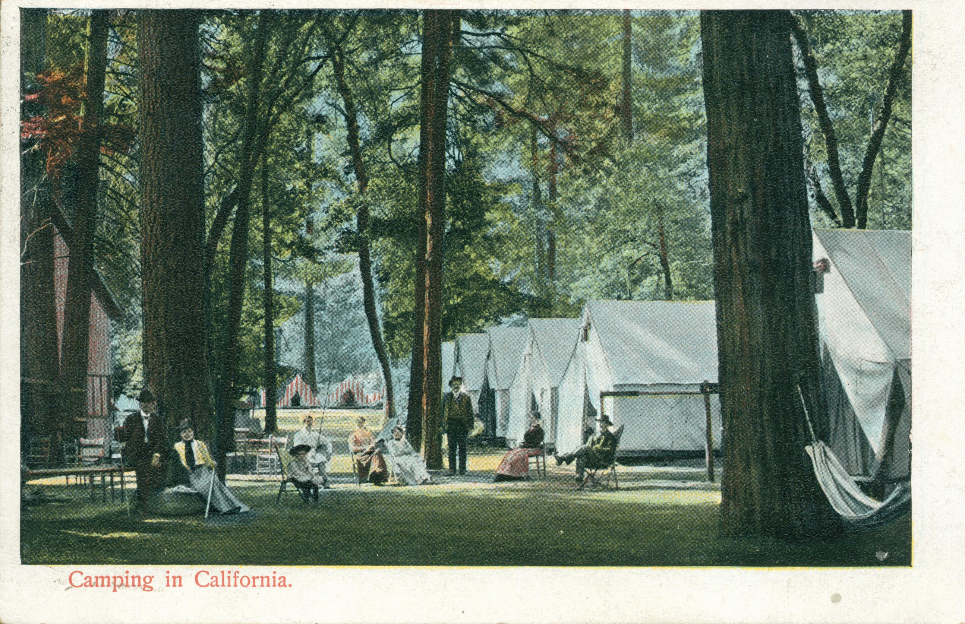 Shows a row of tents nestled between the trees in Camp Curry, with several people relaxing in chairs