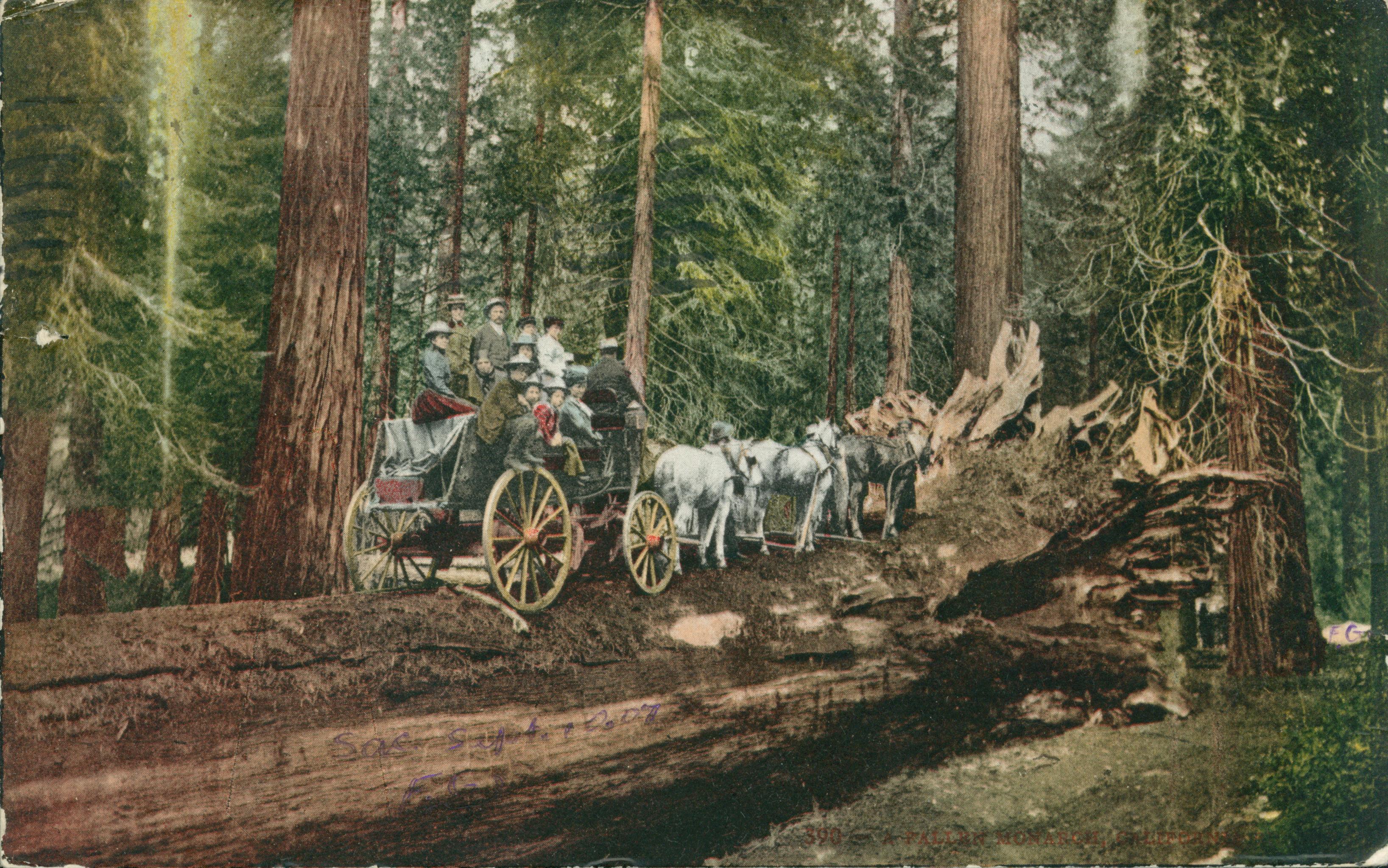 Shows a stagecoach, its horses and passengers on Fallen Monarch