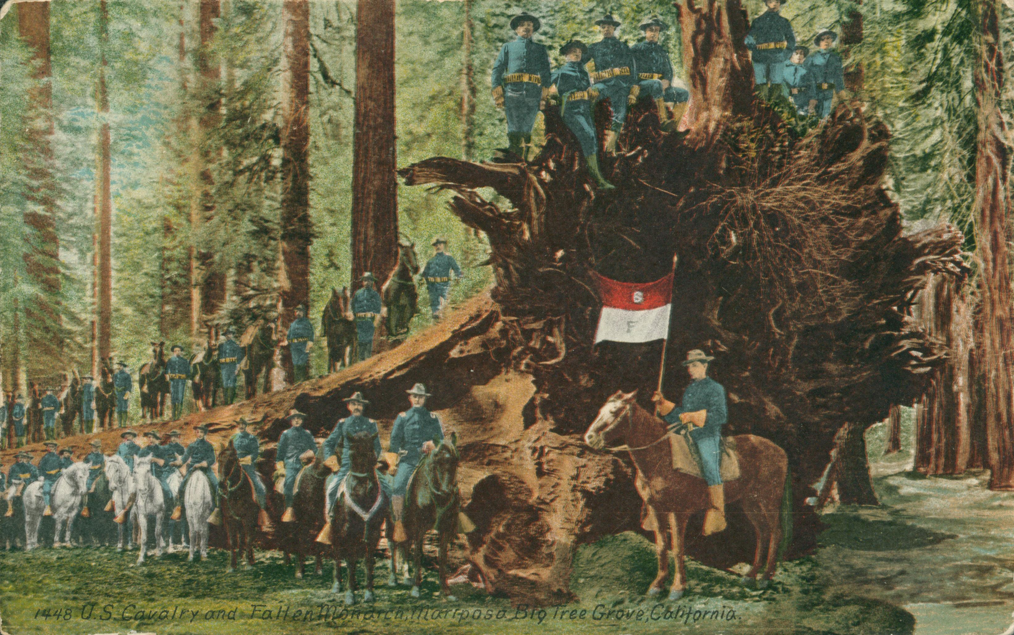 Shows a regiment of the United States cavalry and their horses posed on and around the Fallen Monarch