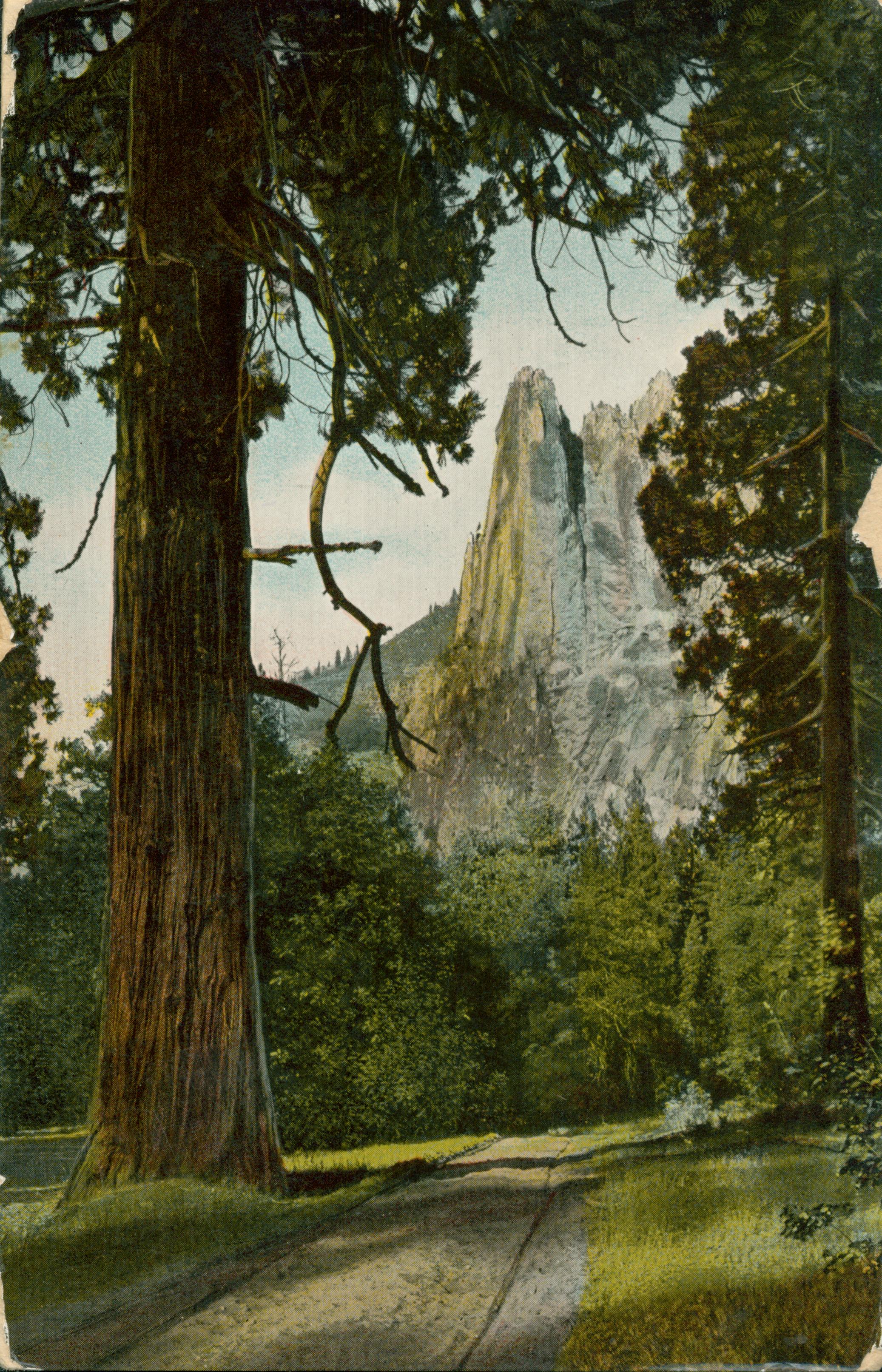 Shows a dirt road winding into the trees with Sentinel Rock in the background
