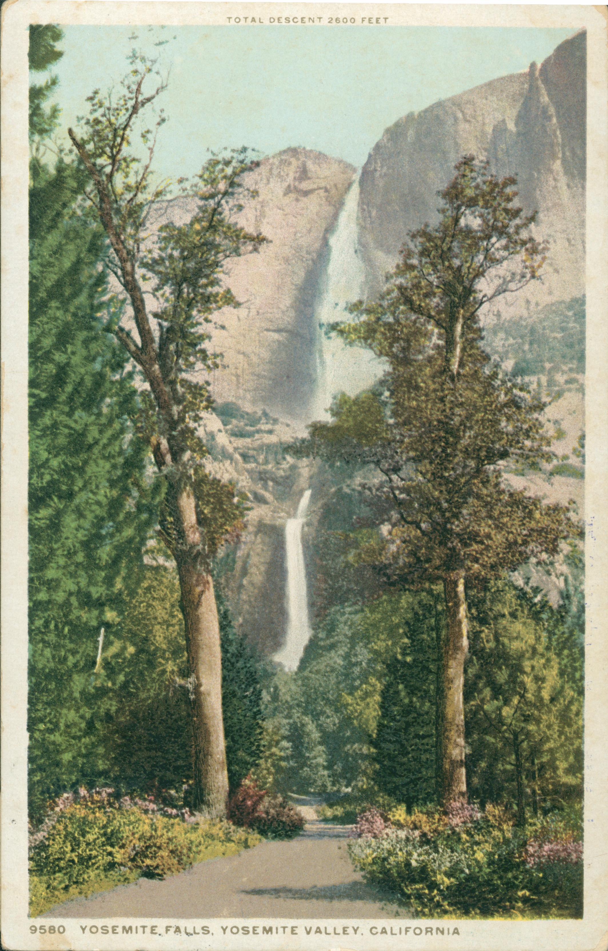 Shows a road lined by trees with Yosemite Falls in the background