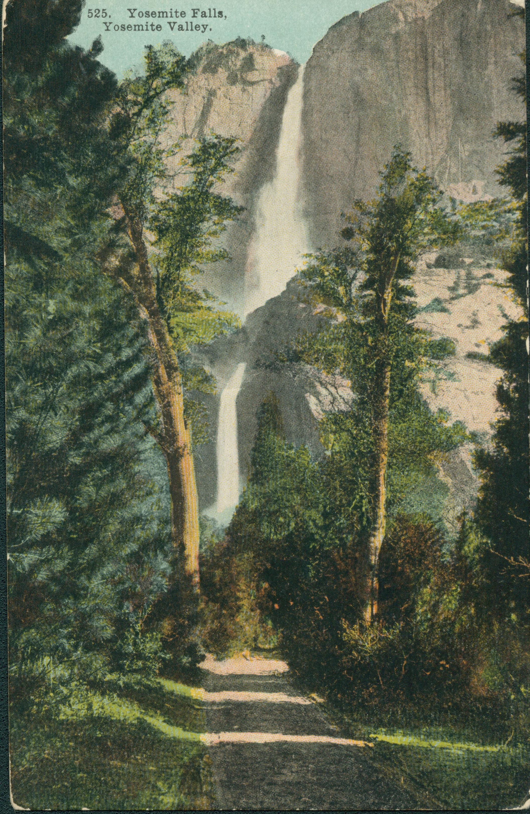 Shows a road lined by trees with Yosemite Falls in the background