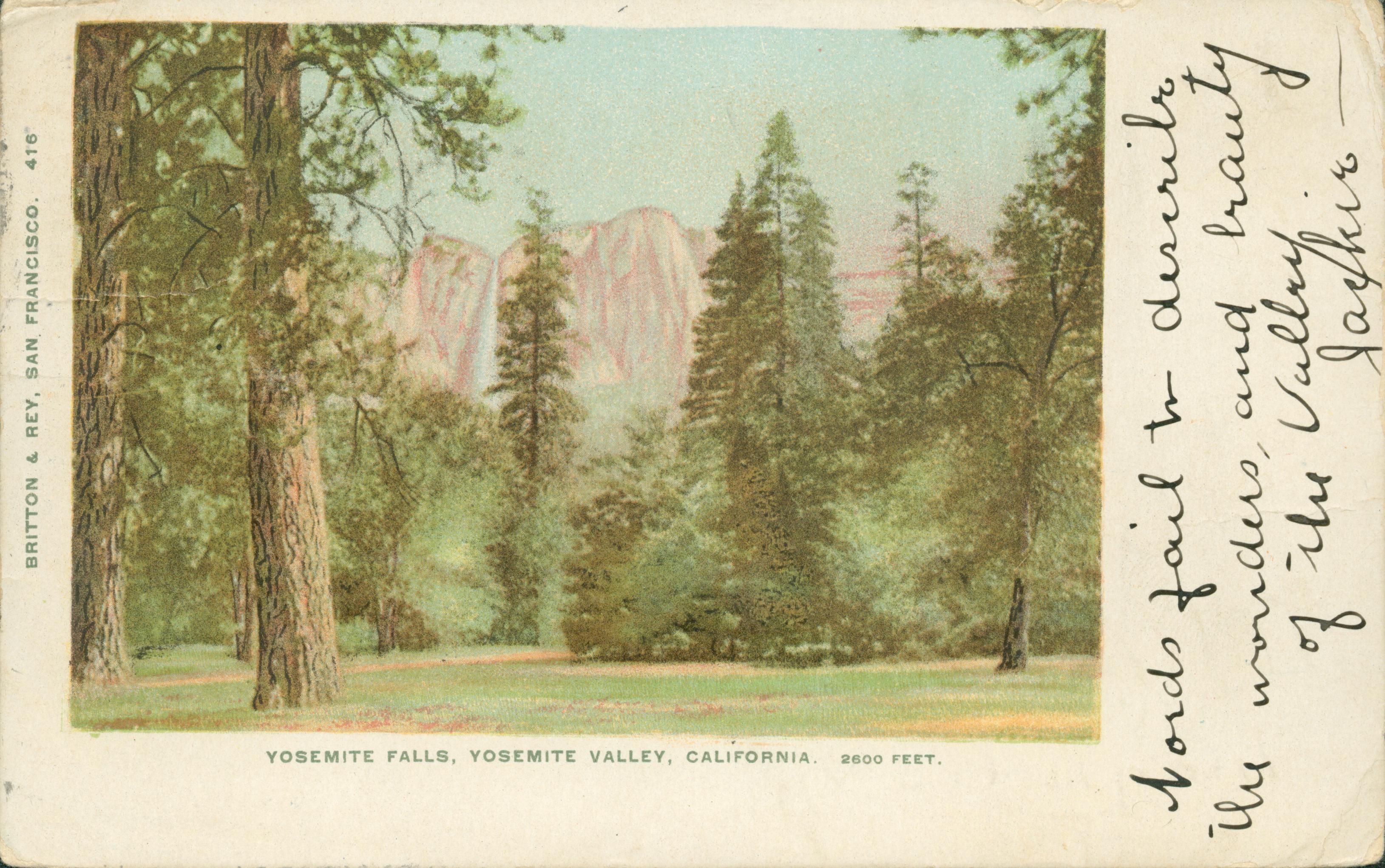 Shows a meadow lined by a grove of trees with Yosemite Falls in the background