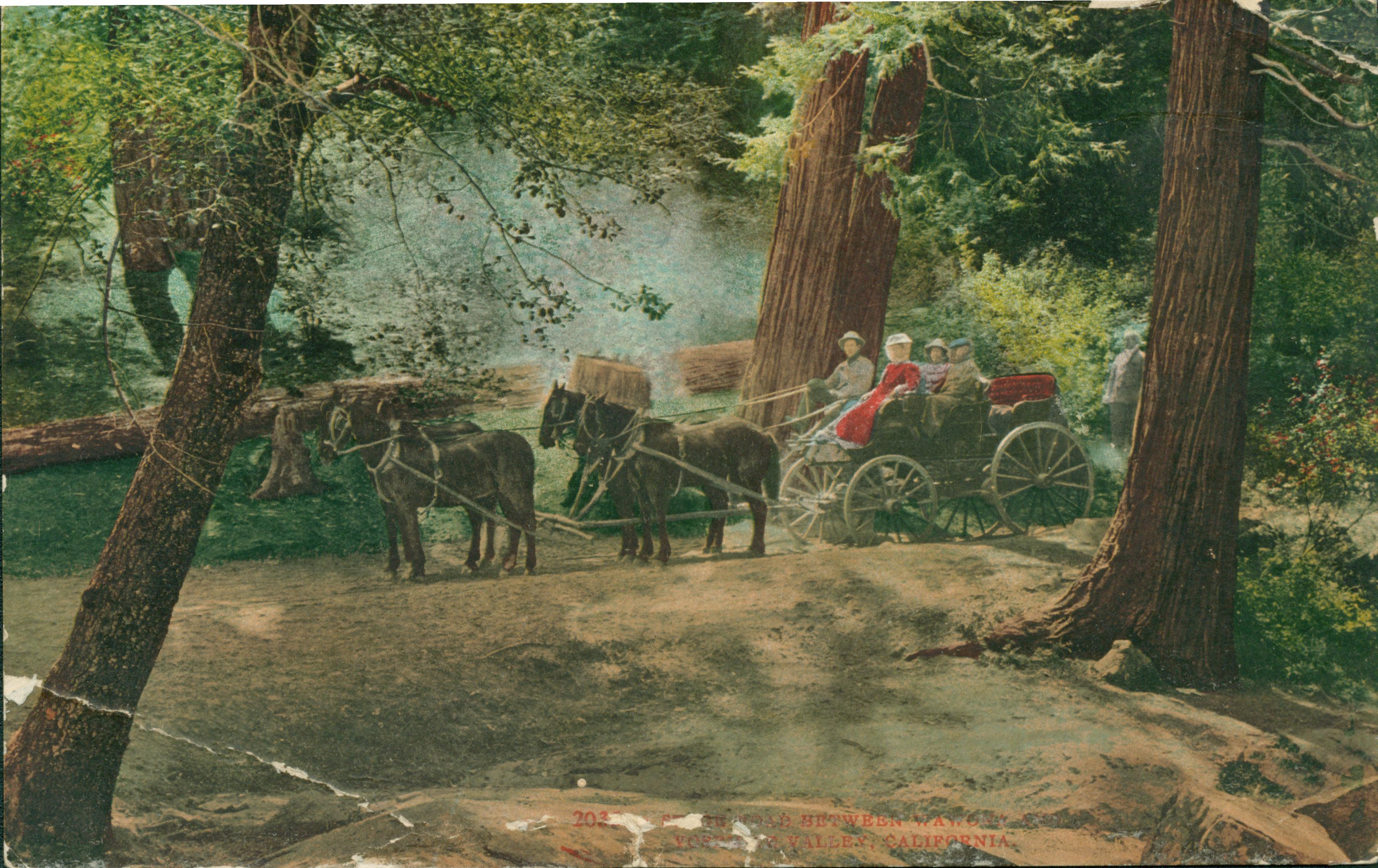 Shows a stagecoach framed by trees stopped on a dirt road