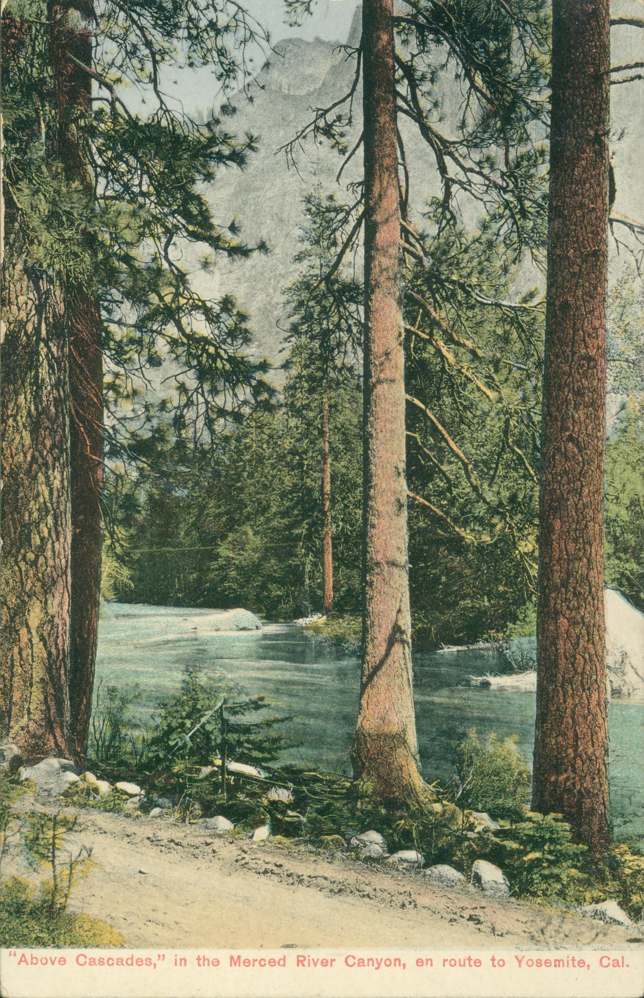 Shows a road lined by trees running along the shores of the Merced River