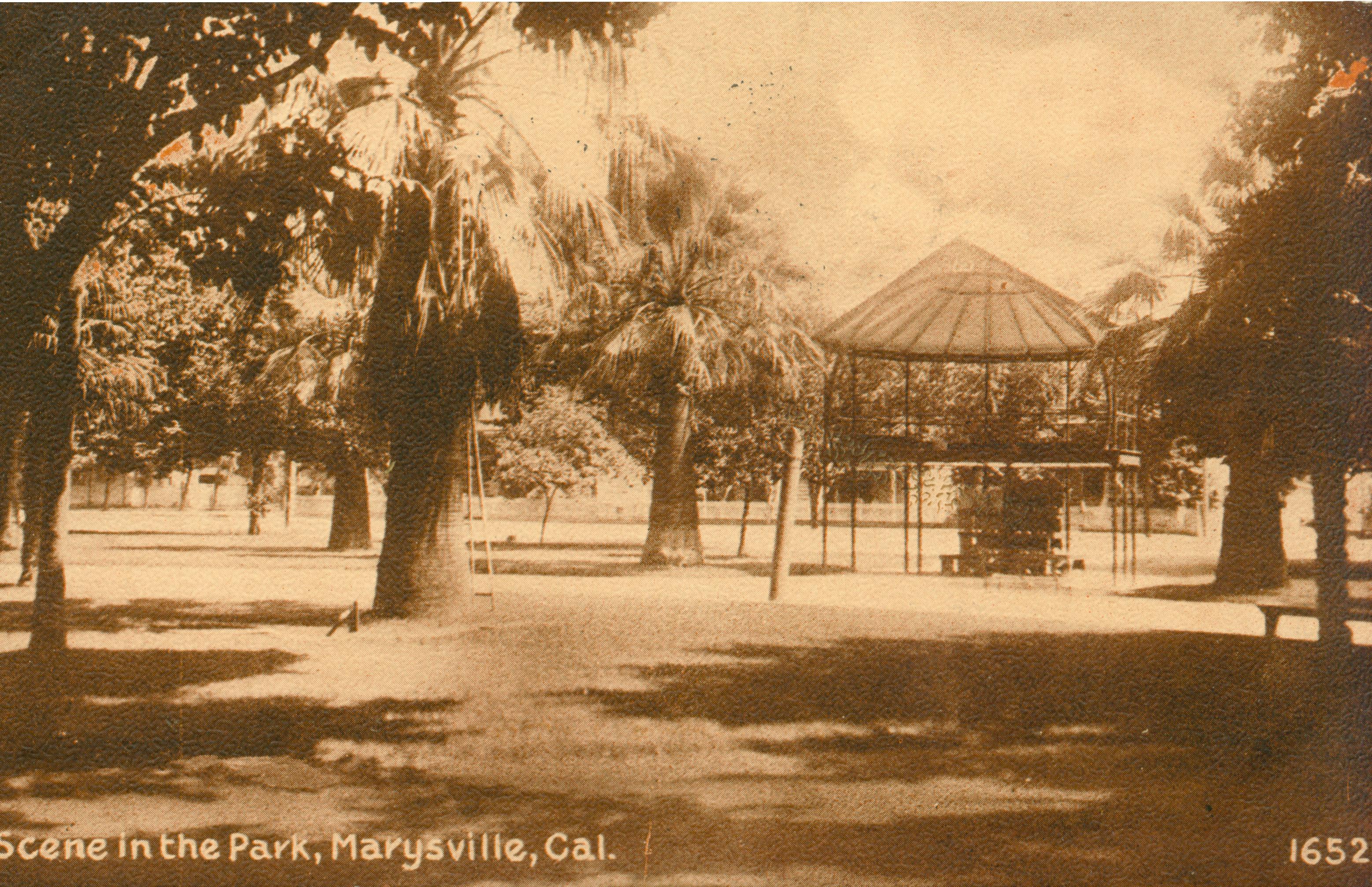 Shows a gazebo and several trees in a park