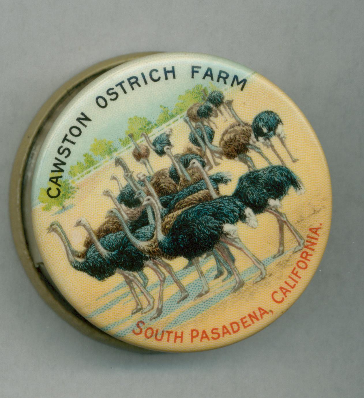 Souvenir tape measure from Cawston's Ostrich Farm, South Pasadena, California.  Imprint of Whitehead and Hoag, Newark, New Jersey. Image of single ostrich head on front; back shows group or flock of ostriches at the farm.
