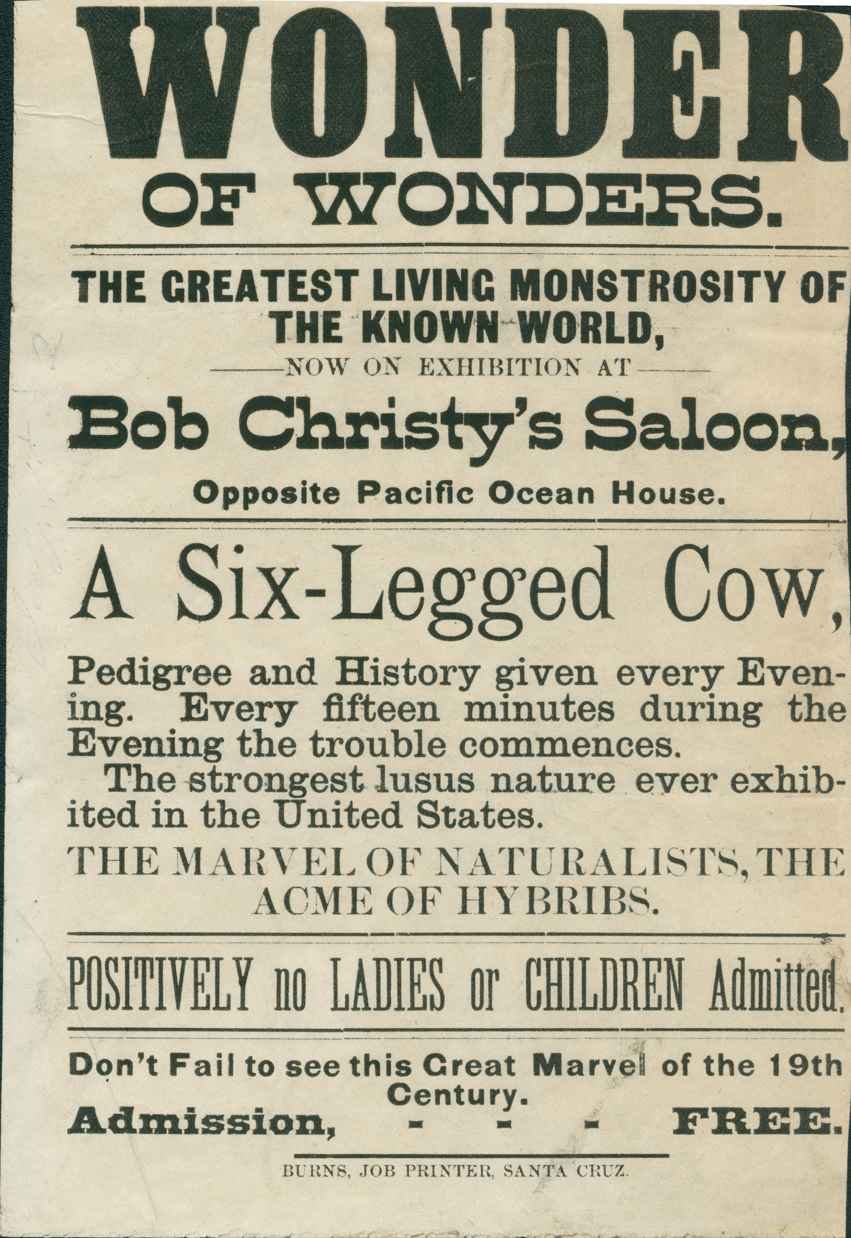 Shows information about the display of a six-legged cow