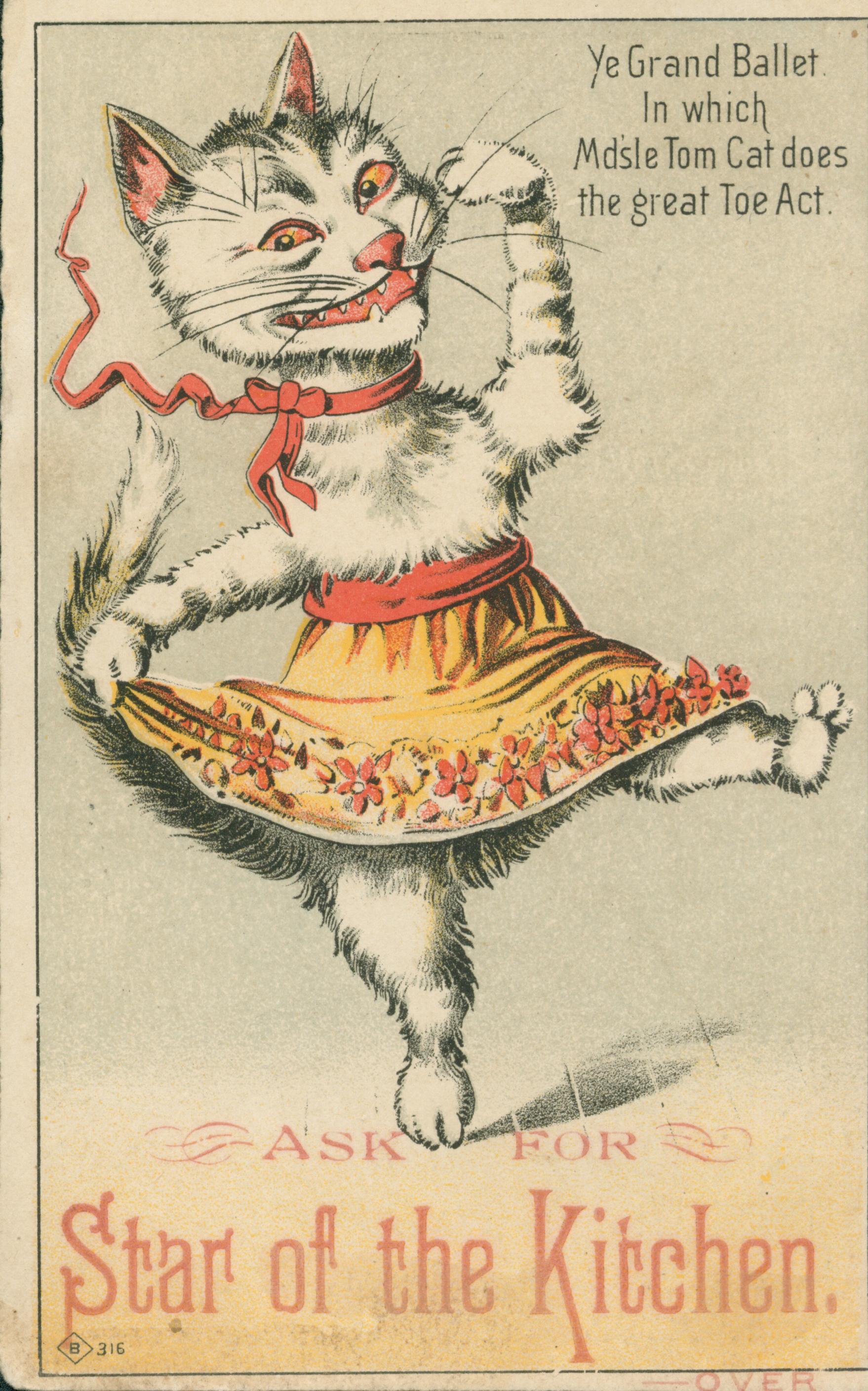 Shows a cat dancing in a skirt