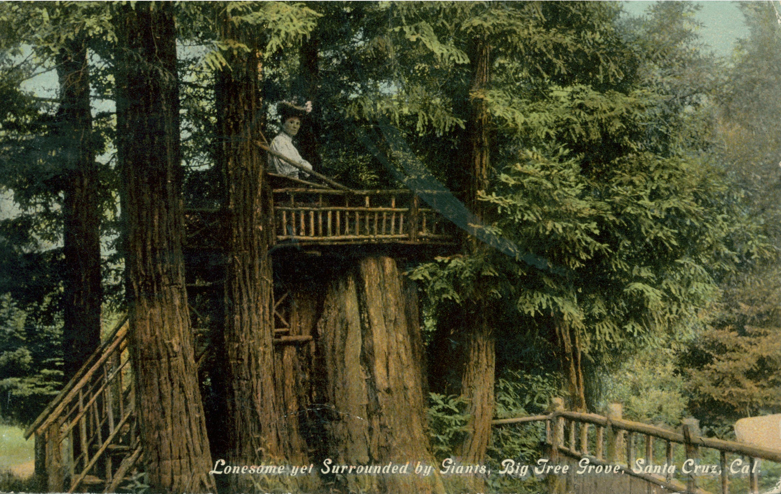 Shows a woman seated on a platform built in a tree