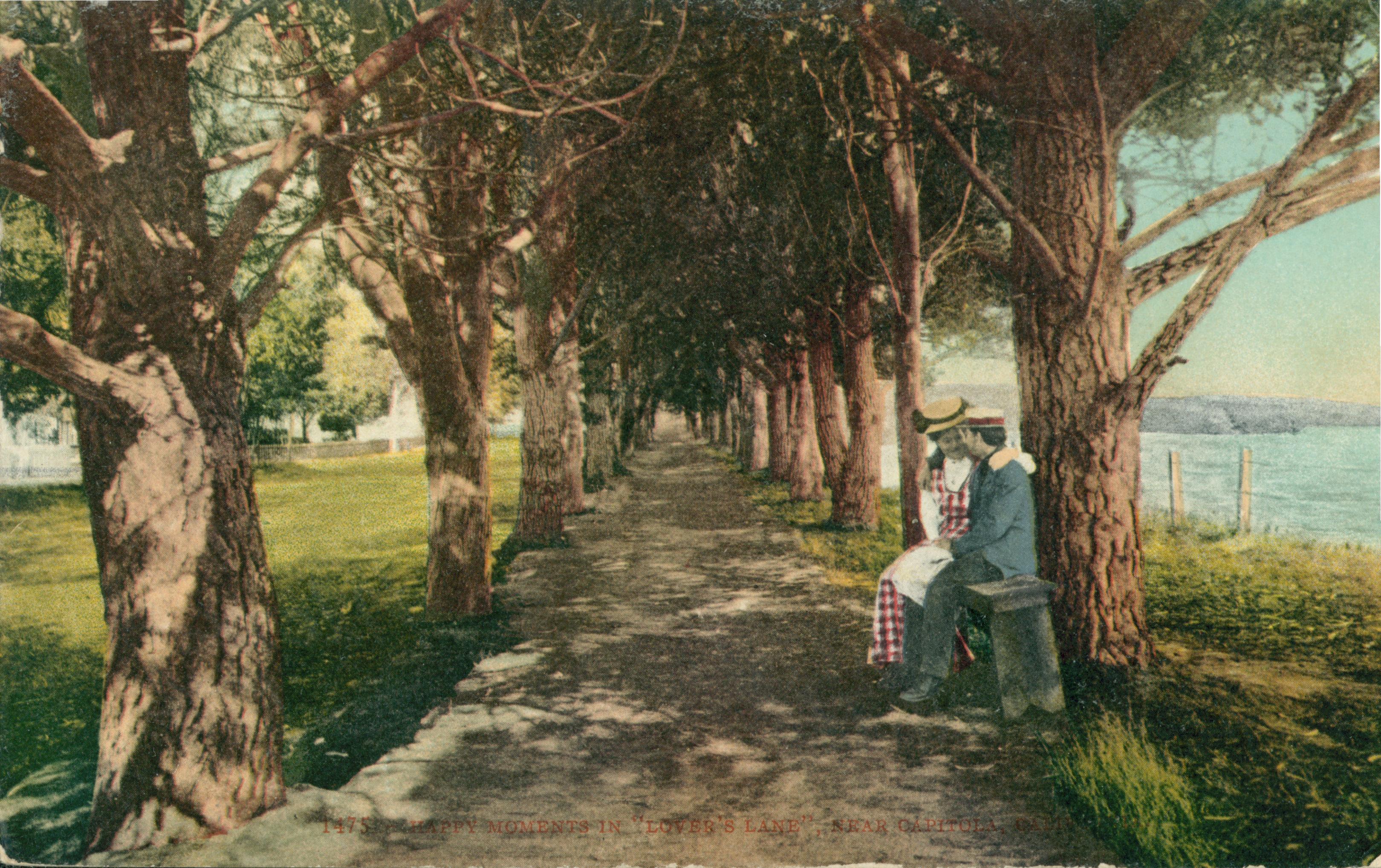 Two people embracing each other, sitting on a bench on a tree lined dirt path, parallel to the coastline and park