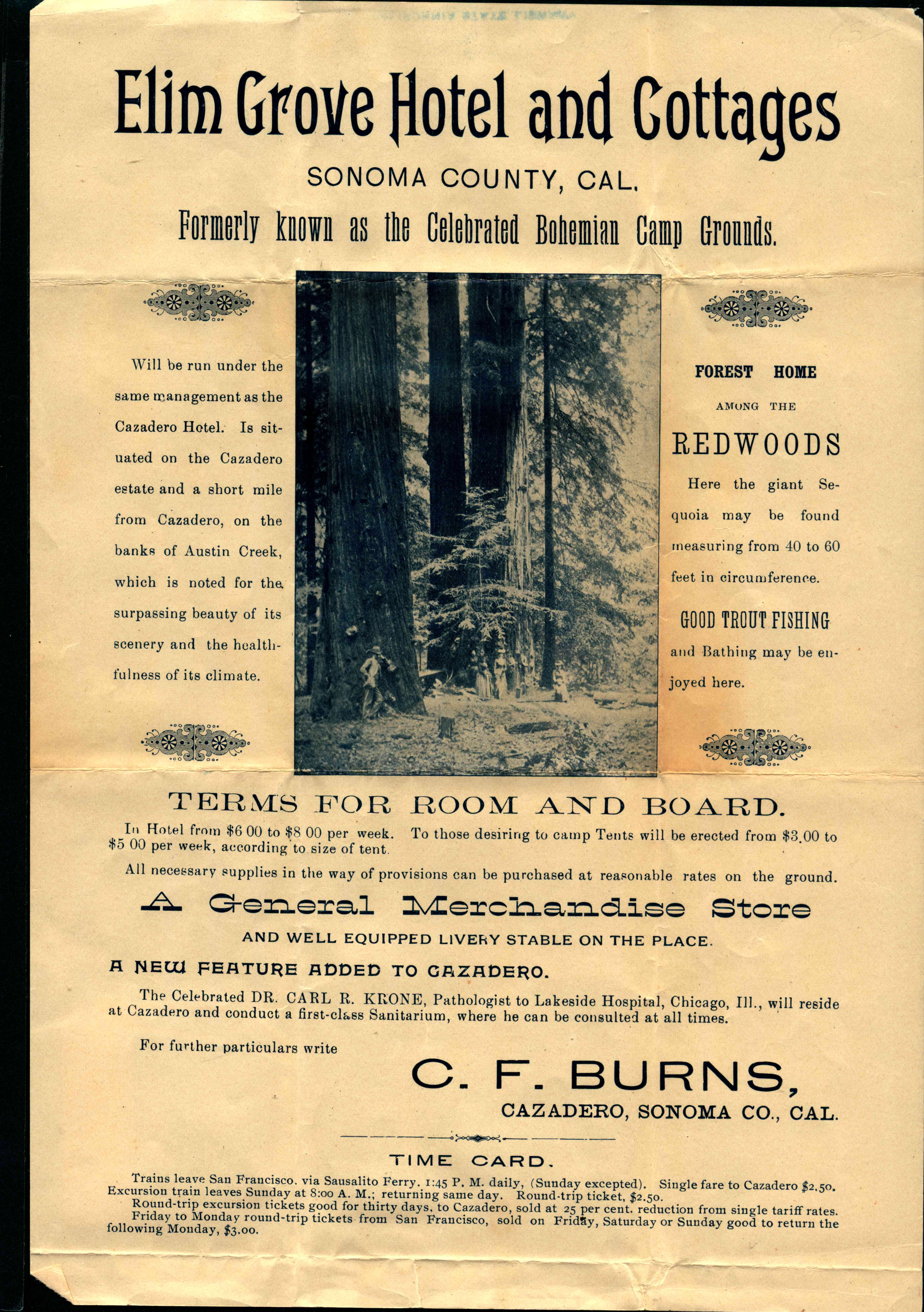 Gift of Alice Park. Picture of redwoods in the middle of the page