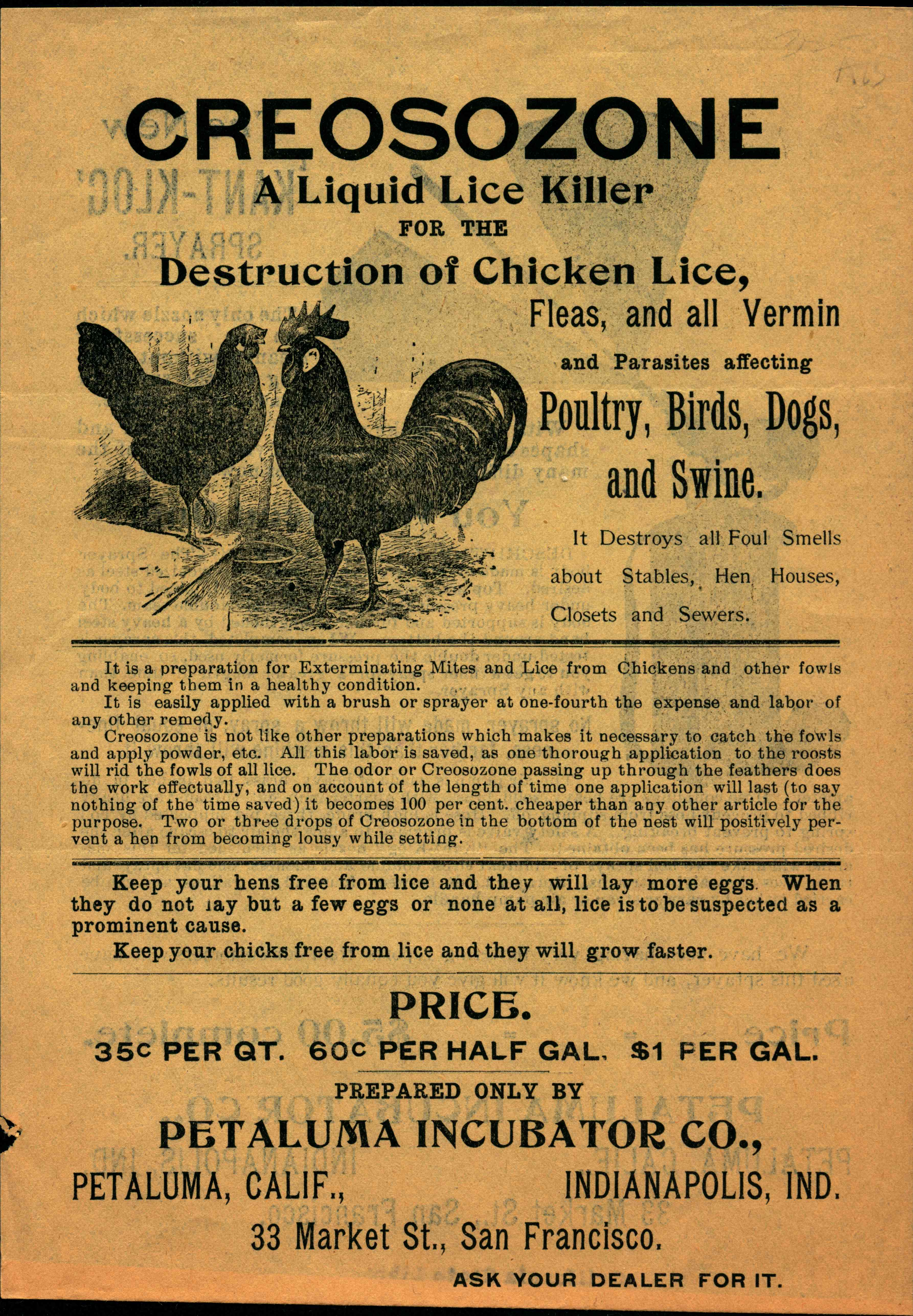 Advertisement from the Petaluma Incubator Company for Creosozone for the destruction of chicken lice, fleas, and all vermin and parasites affecting poultry, birds, dogs, and swine